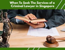 criminal lawyer singapore